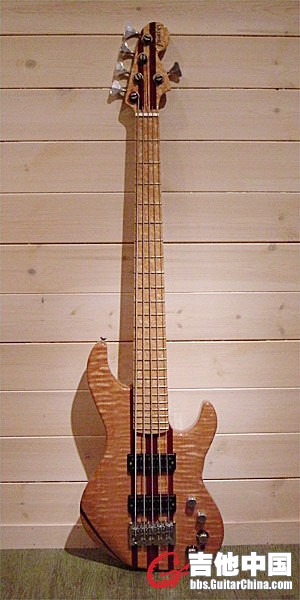 Jason Davis Custom 5strings Bass ’03-5.jpg