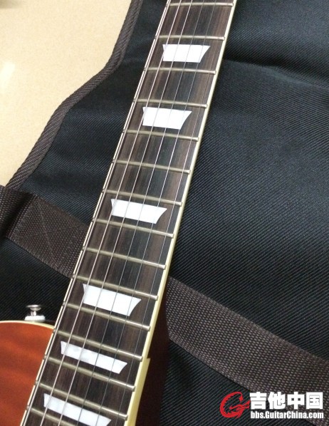 tokai5.jpg