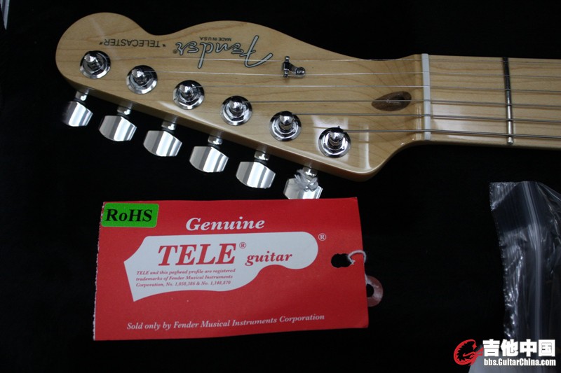 Fender 016.jpg