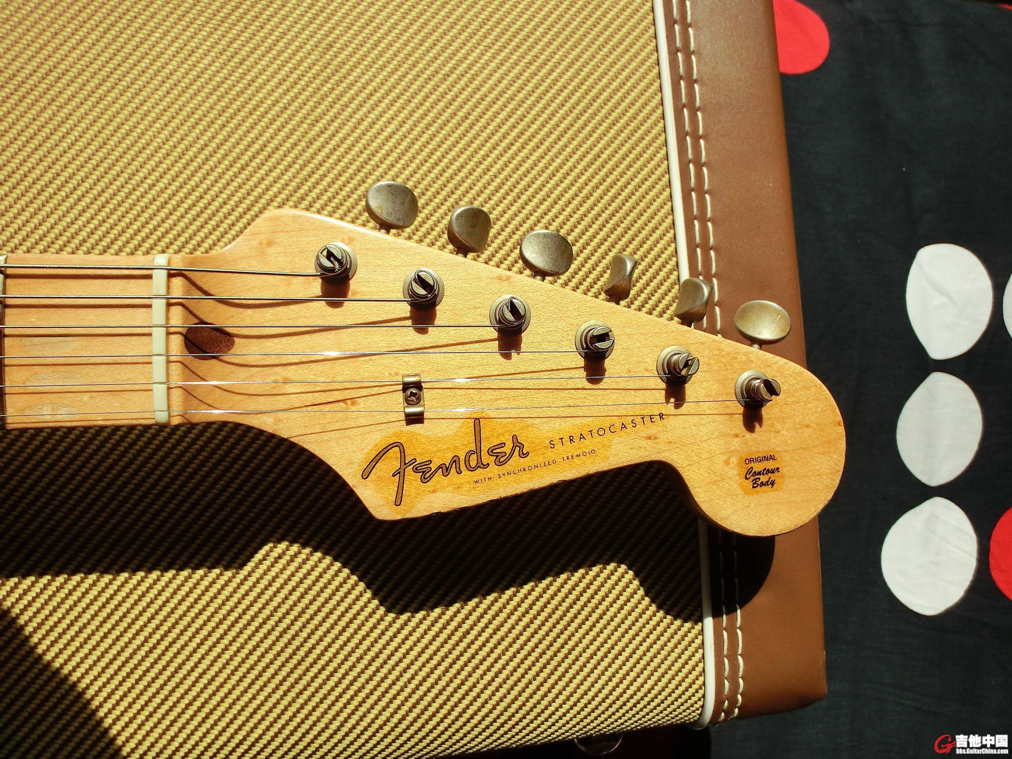 20140313_bc3bb1500dbd2c0437cagoyZB8AvmsnO.jpg