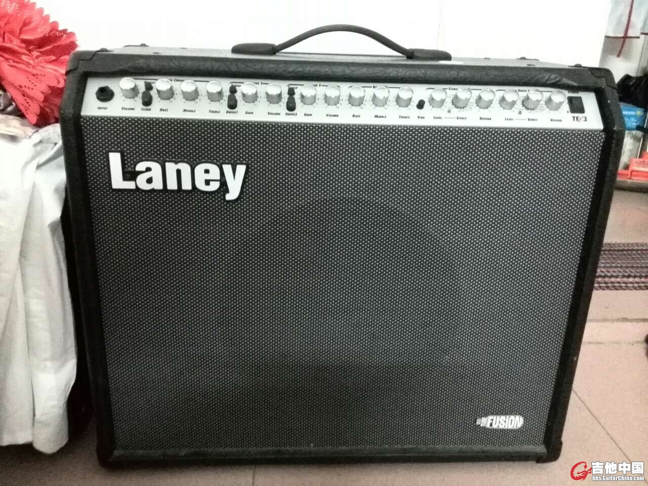 laney 02.jpg