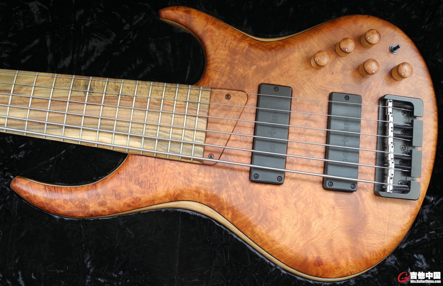 MTD body.jpg