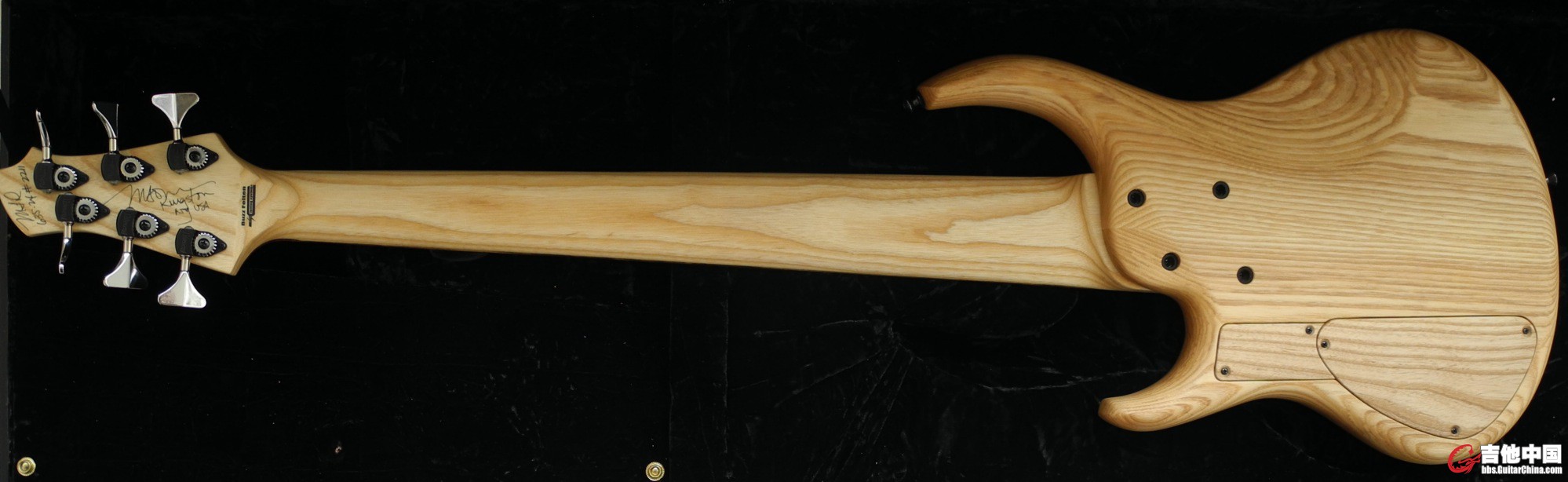 MTD full back.jpg