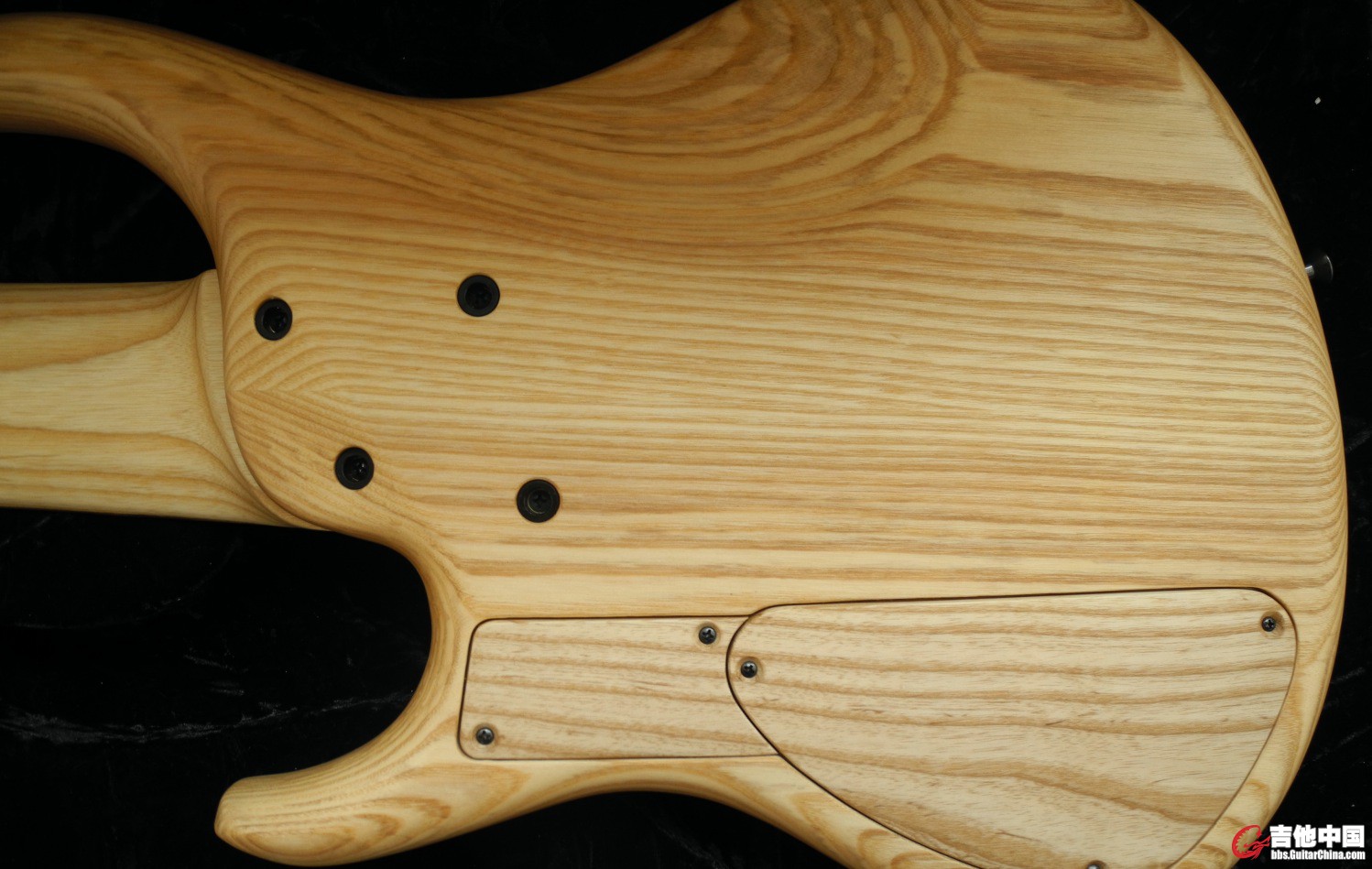 MTD body back.jpg