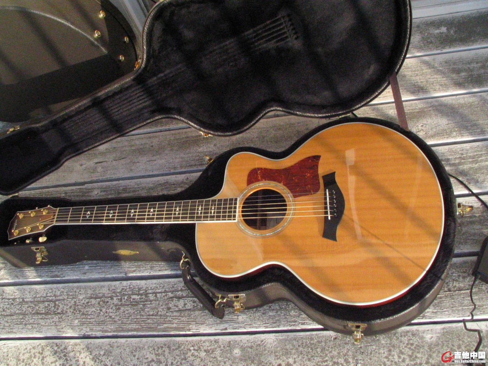 Taylor 815c