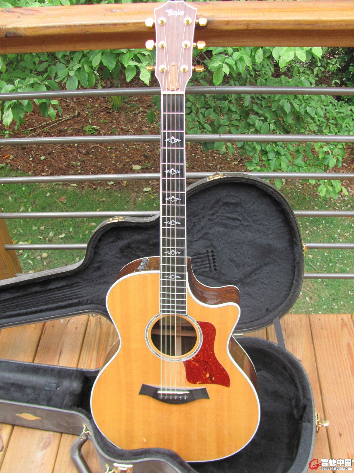 Taylor 814ce