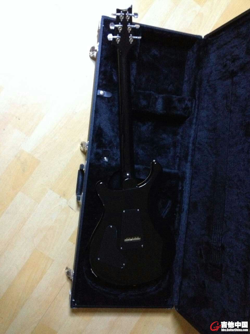 black back