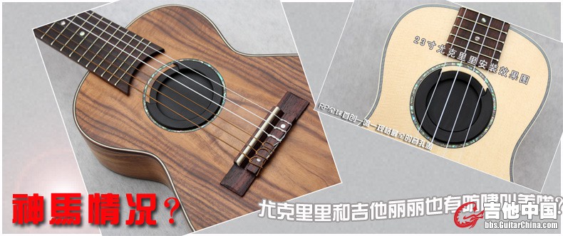 音孔盖广告0623.jpg