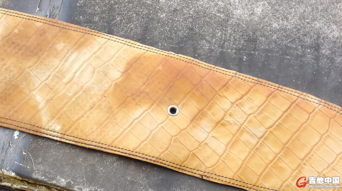 真皮