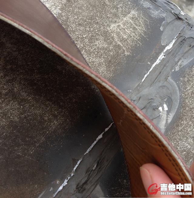真皮