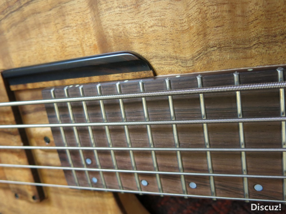 Barrillon Single Cut 5 Brazilian Rosewood Fingerboard.jpg
