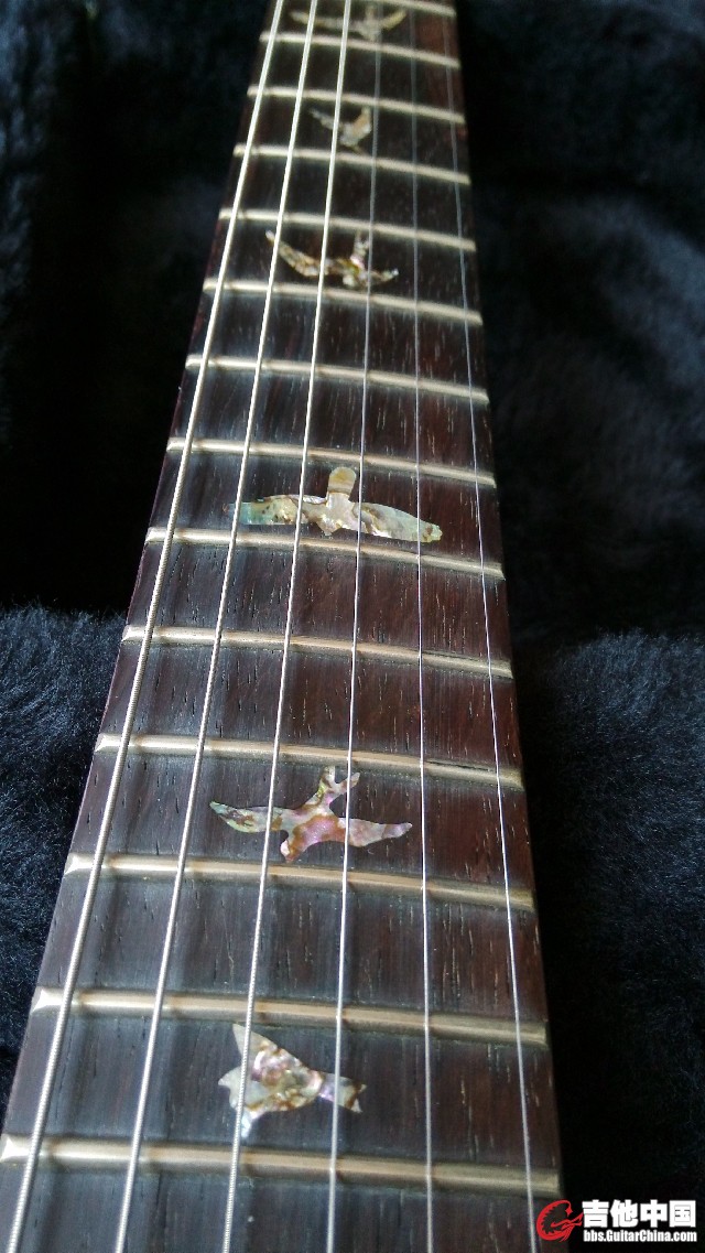 prs4.jpg