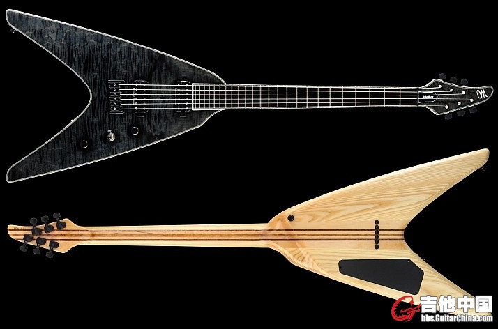 Mayones vidius 6.jpg