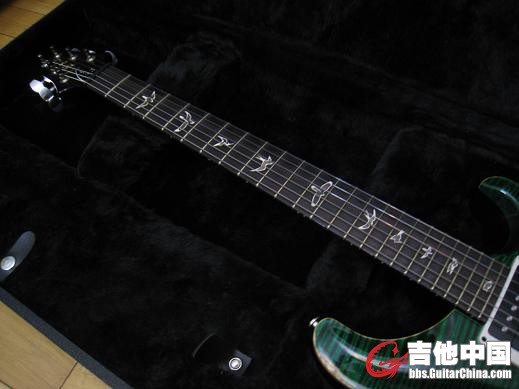 prs  green  c24 10top 007.jpg