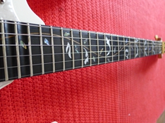 L1000793.jpg