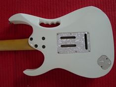 L1000798.jpg