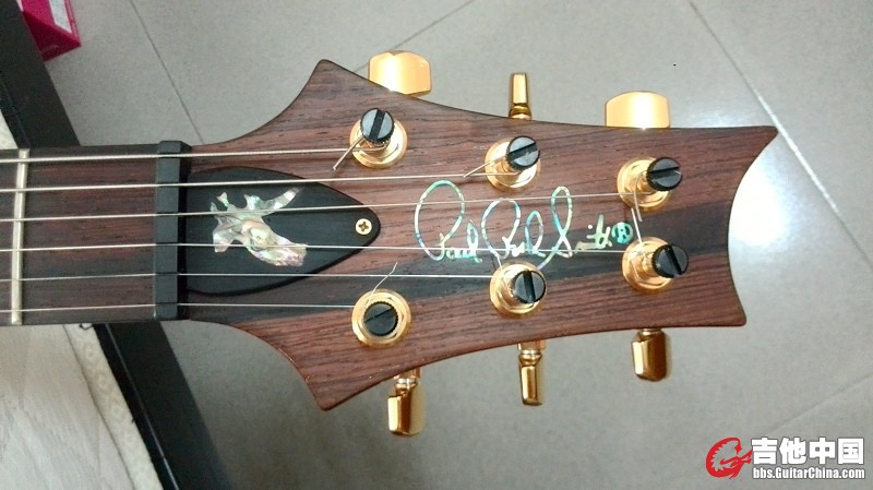 PRS Custom24 Artist Package 20th Anniversary_Pic1.jpg