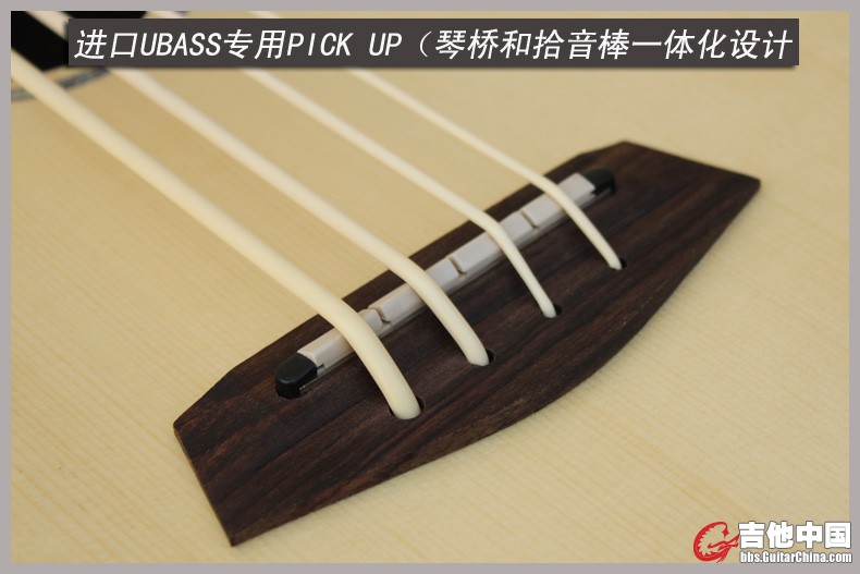 UBASS-7.jpg