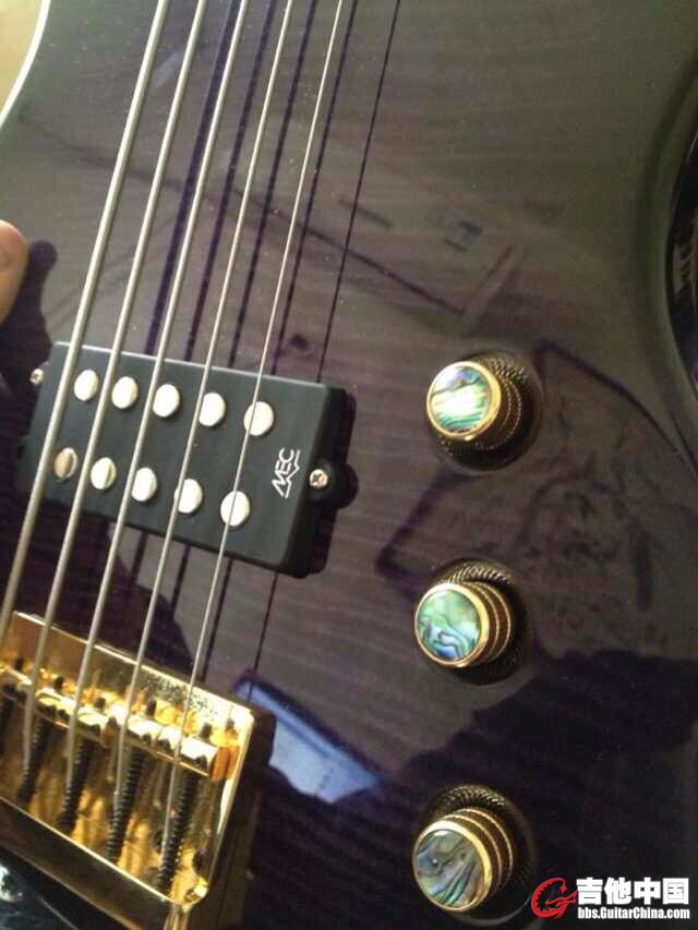 拾音器和旋钮