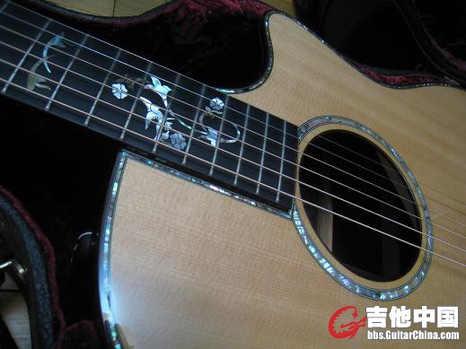 taylor 916ce 005.jpg