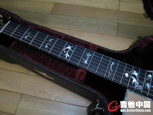 taylor 916ce 006.jpg