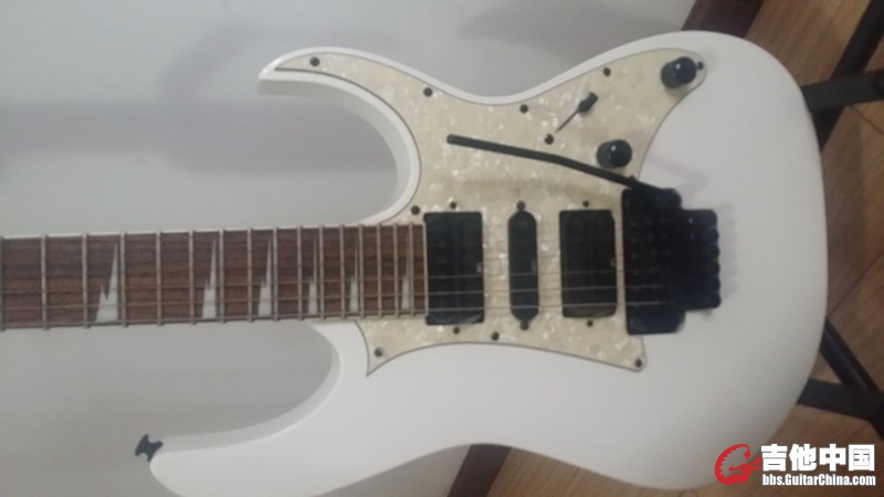 Ibanez8.jpg