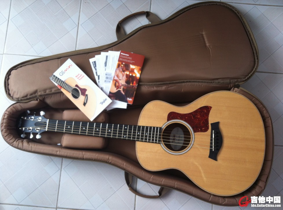 taylor gs mini