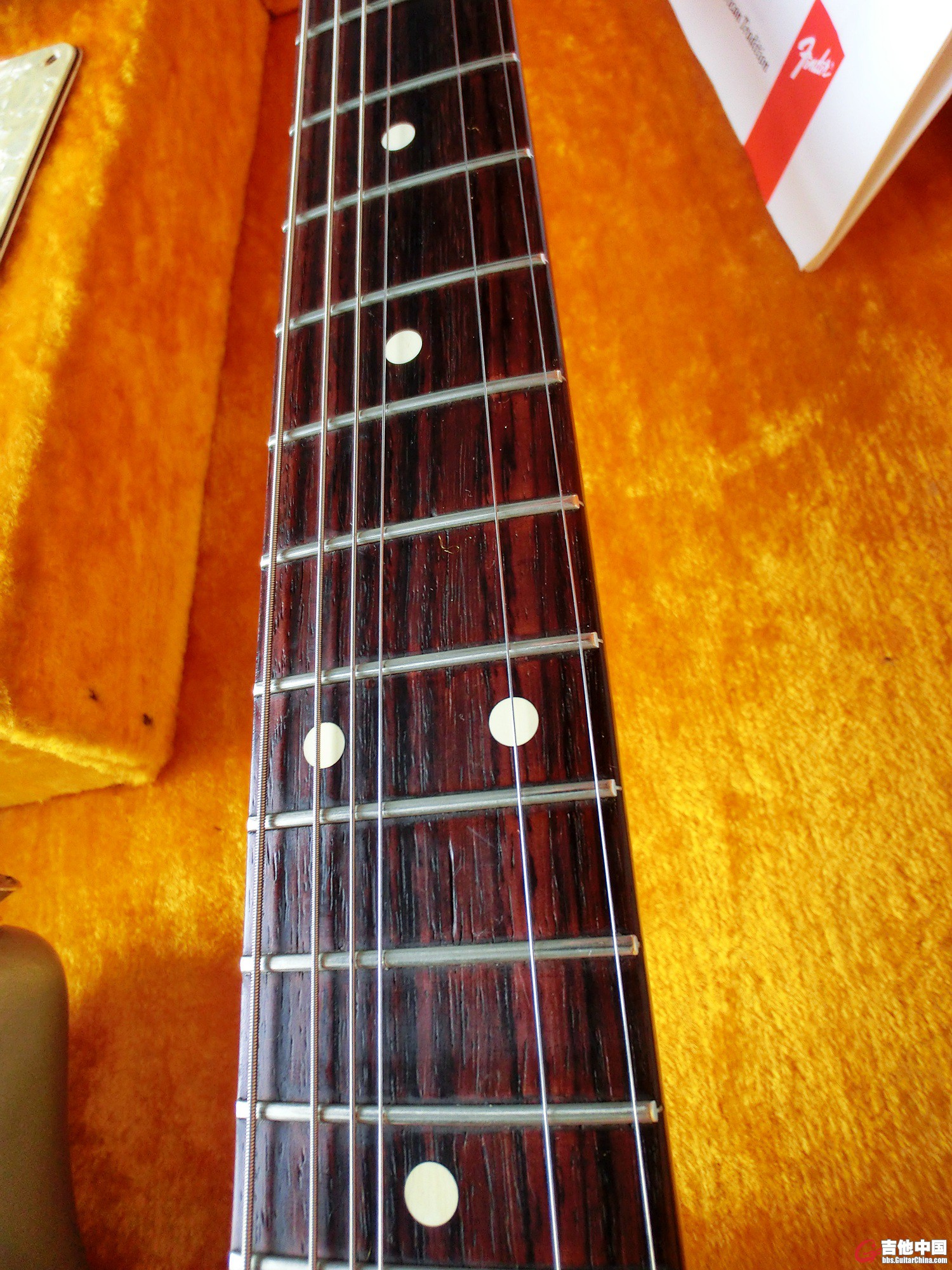 CIMG0107.jpg