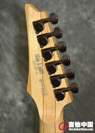 IBANEZ RG2550E