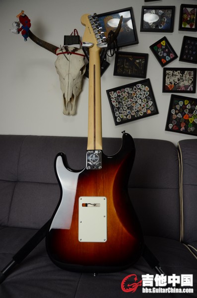 f std (1).JPG