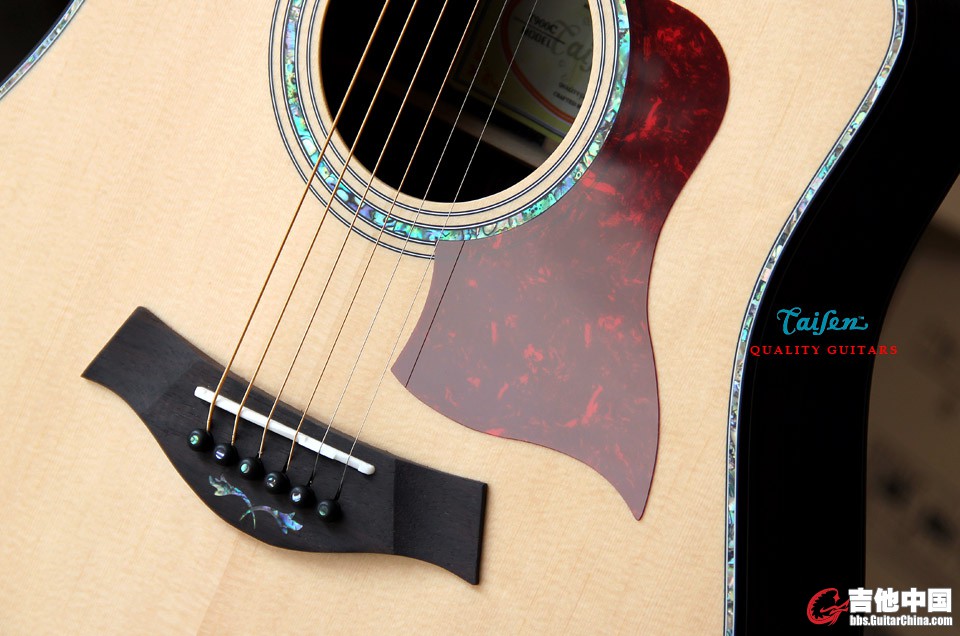 AD05 900 taisen guitars.jpg