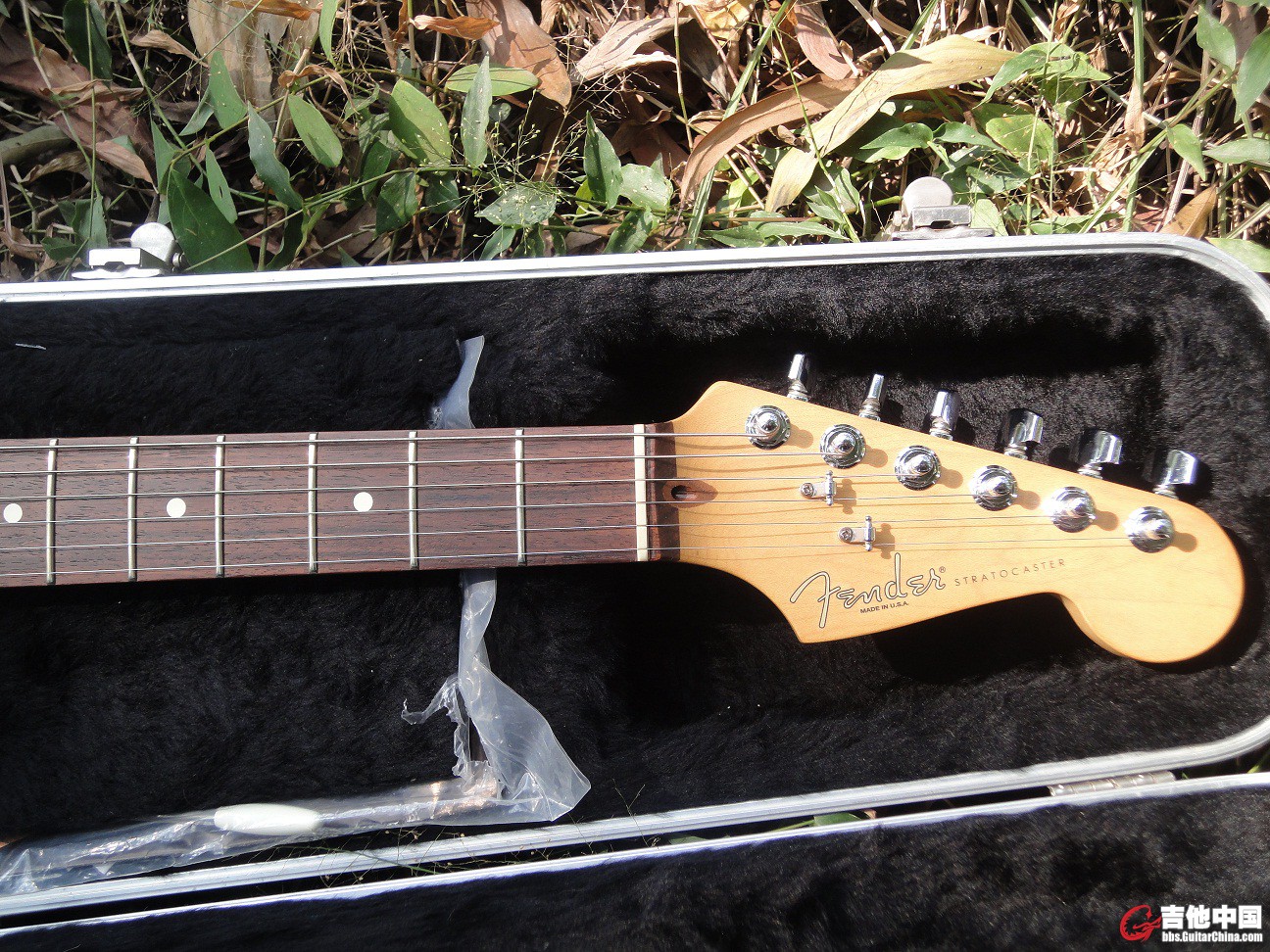 Fender Logo.JPG