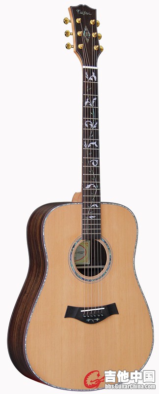 AD10 900 taisen guitars_副本.jpg