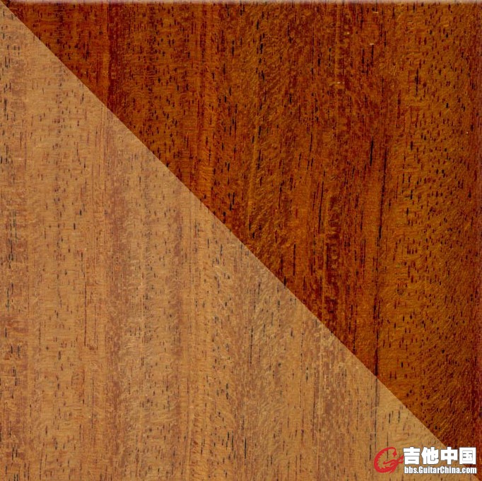 洪都拉斯桃花心木