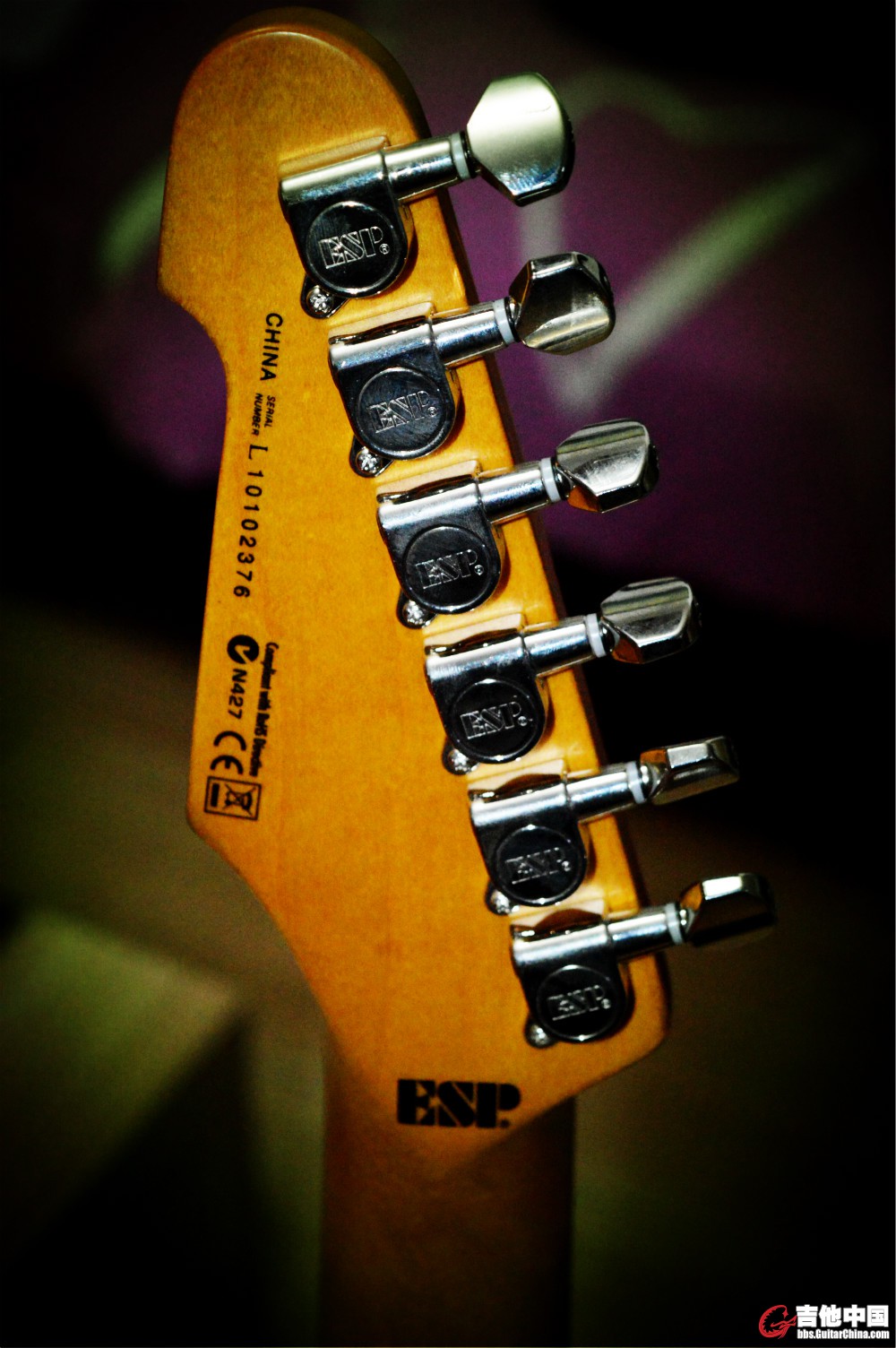 DSC_0017_meitu_5.jpg