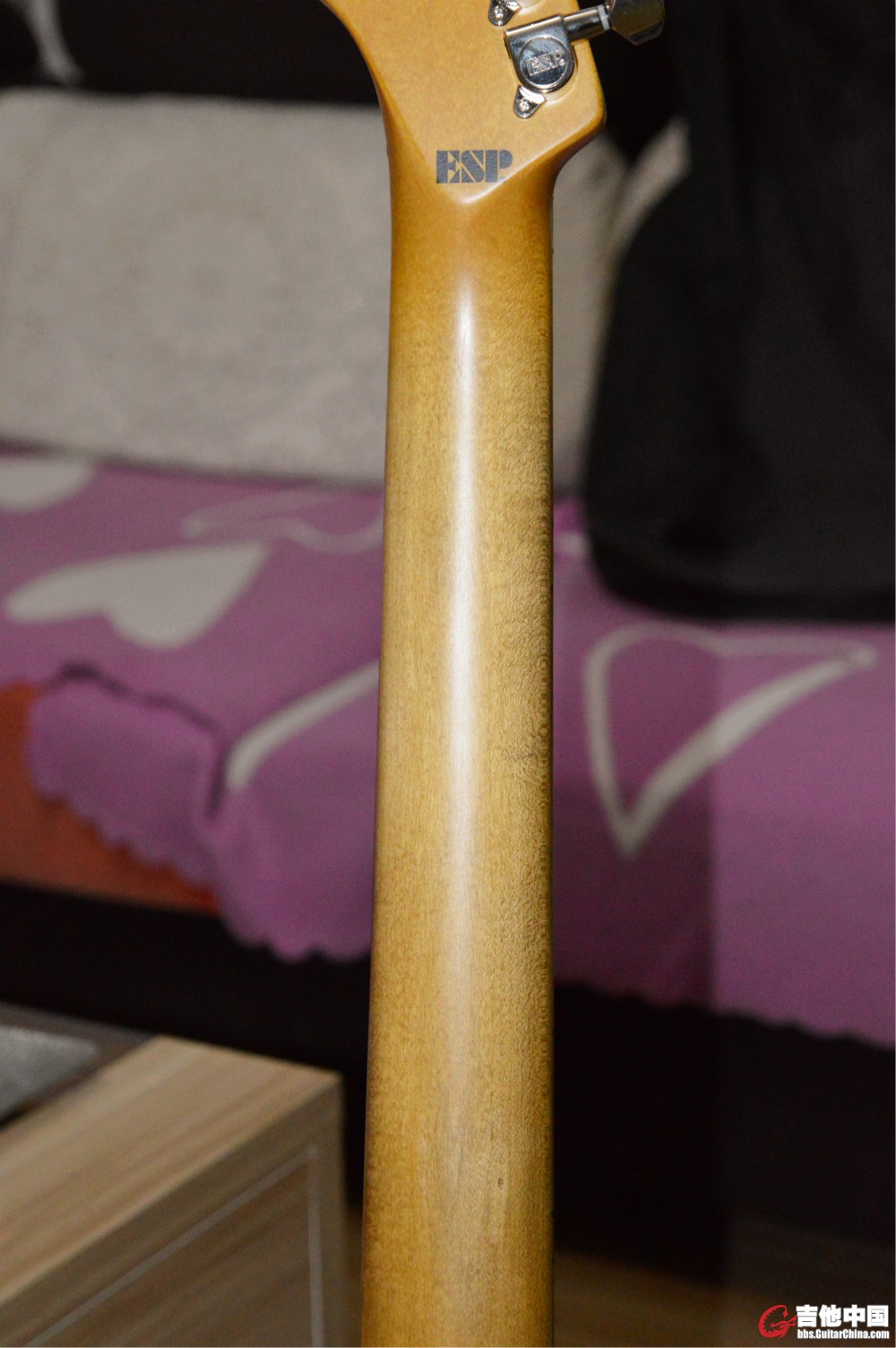 DSC_0019_meitu_8.jpg