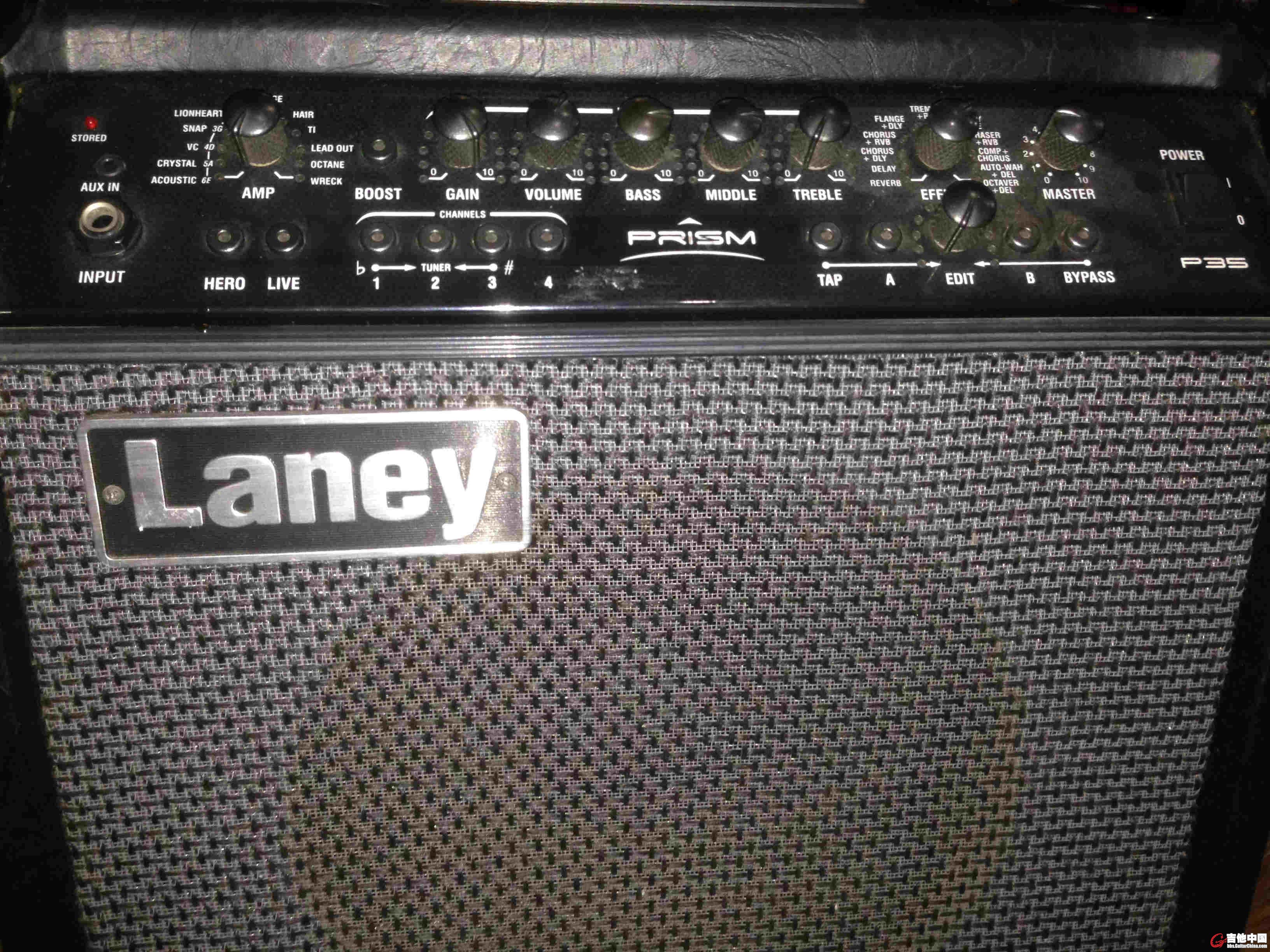 LANEY P35 02.JPG