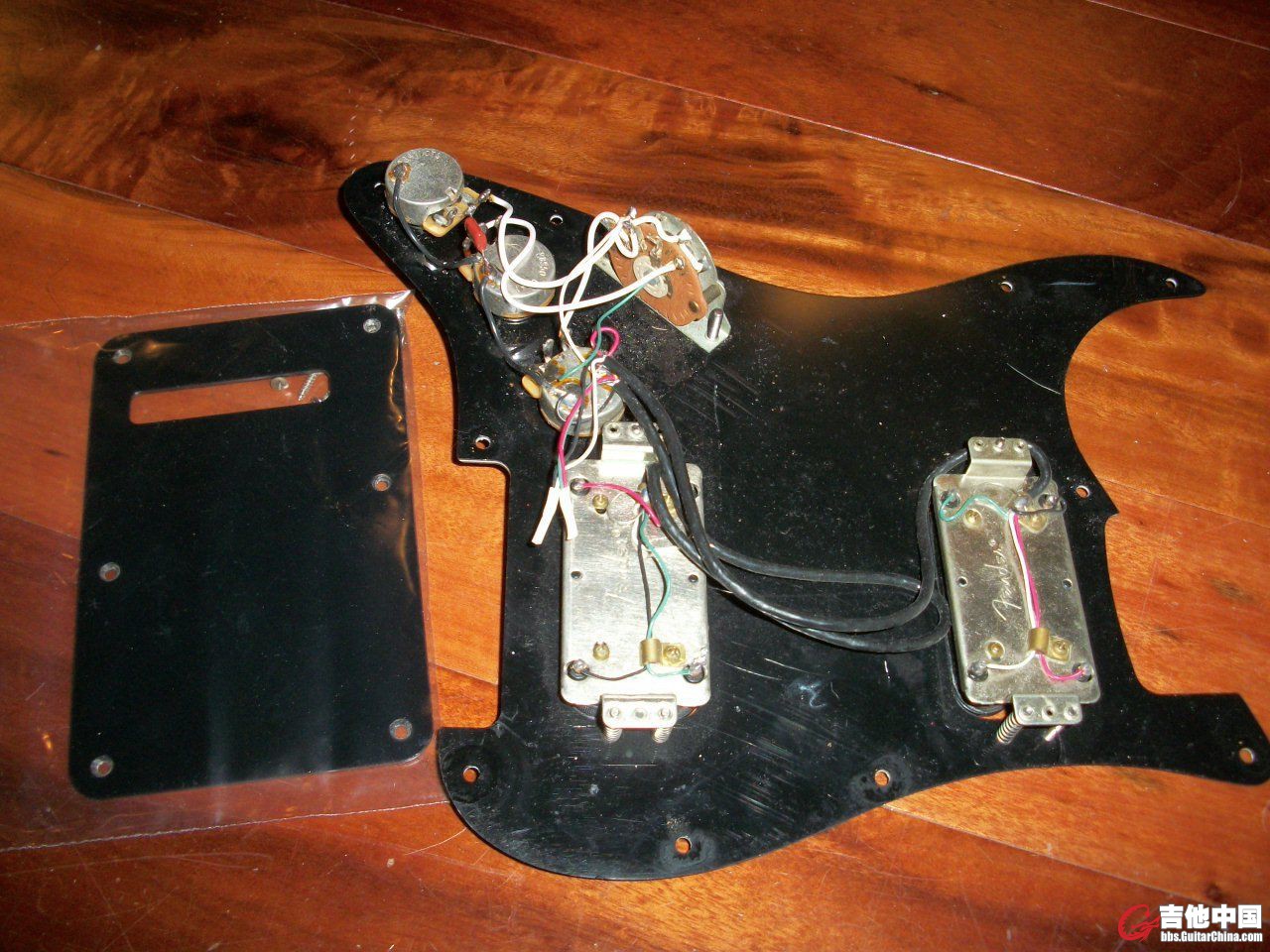 ebay-DH1 Loaded Pickguard-back.jpg