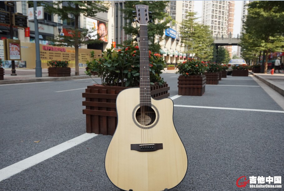 DD260SC亚光