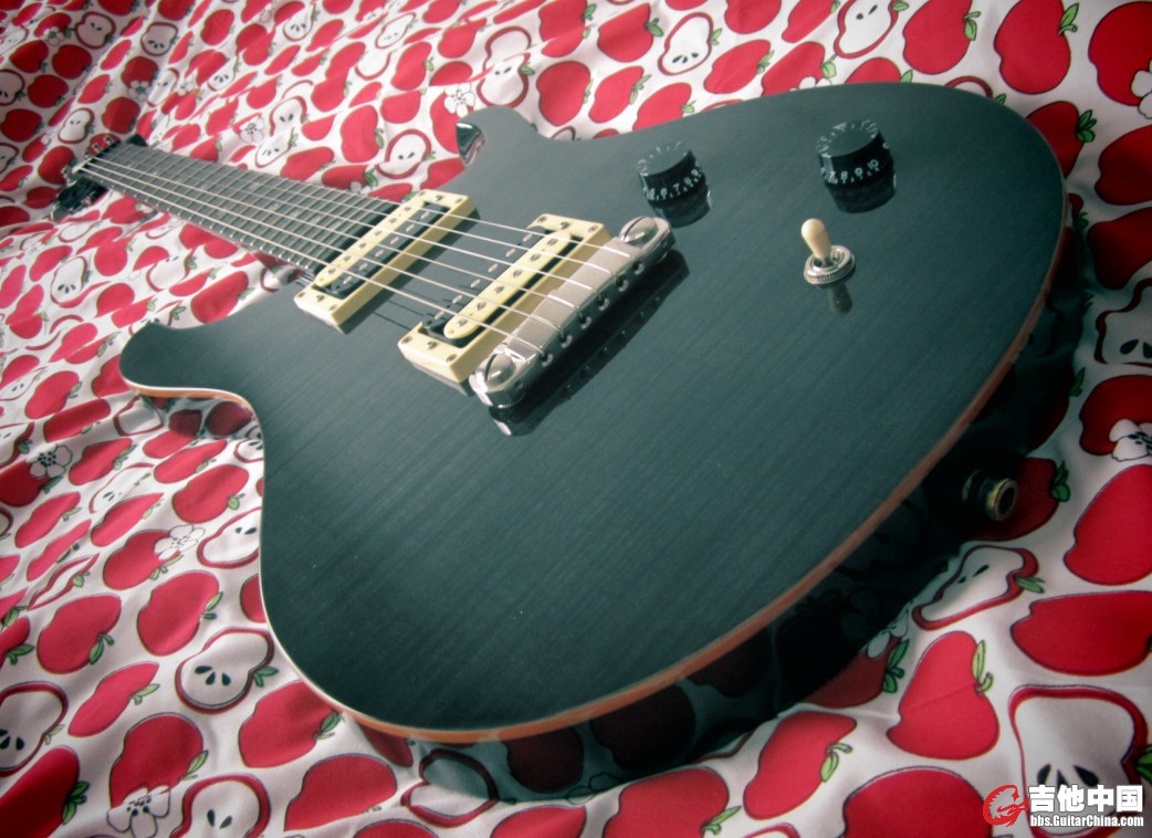 prs se 22custom.jpg