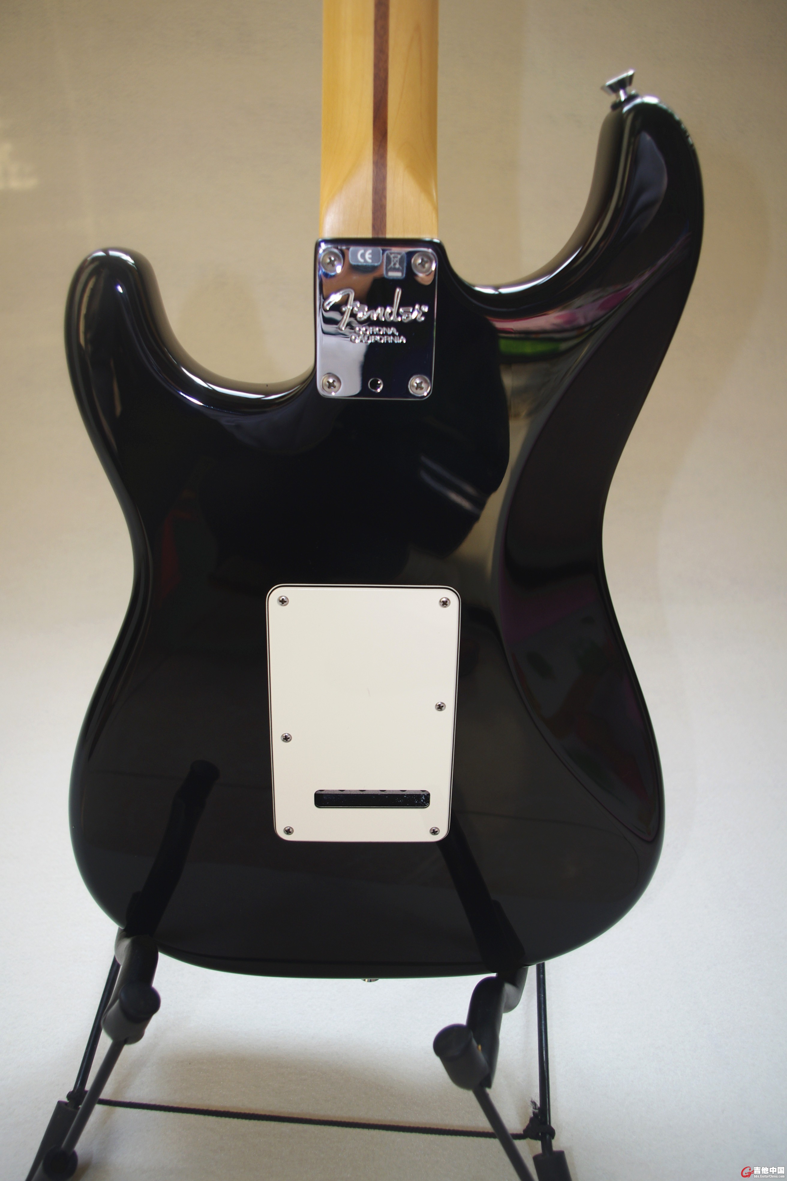 fender american stand-10.jpg