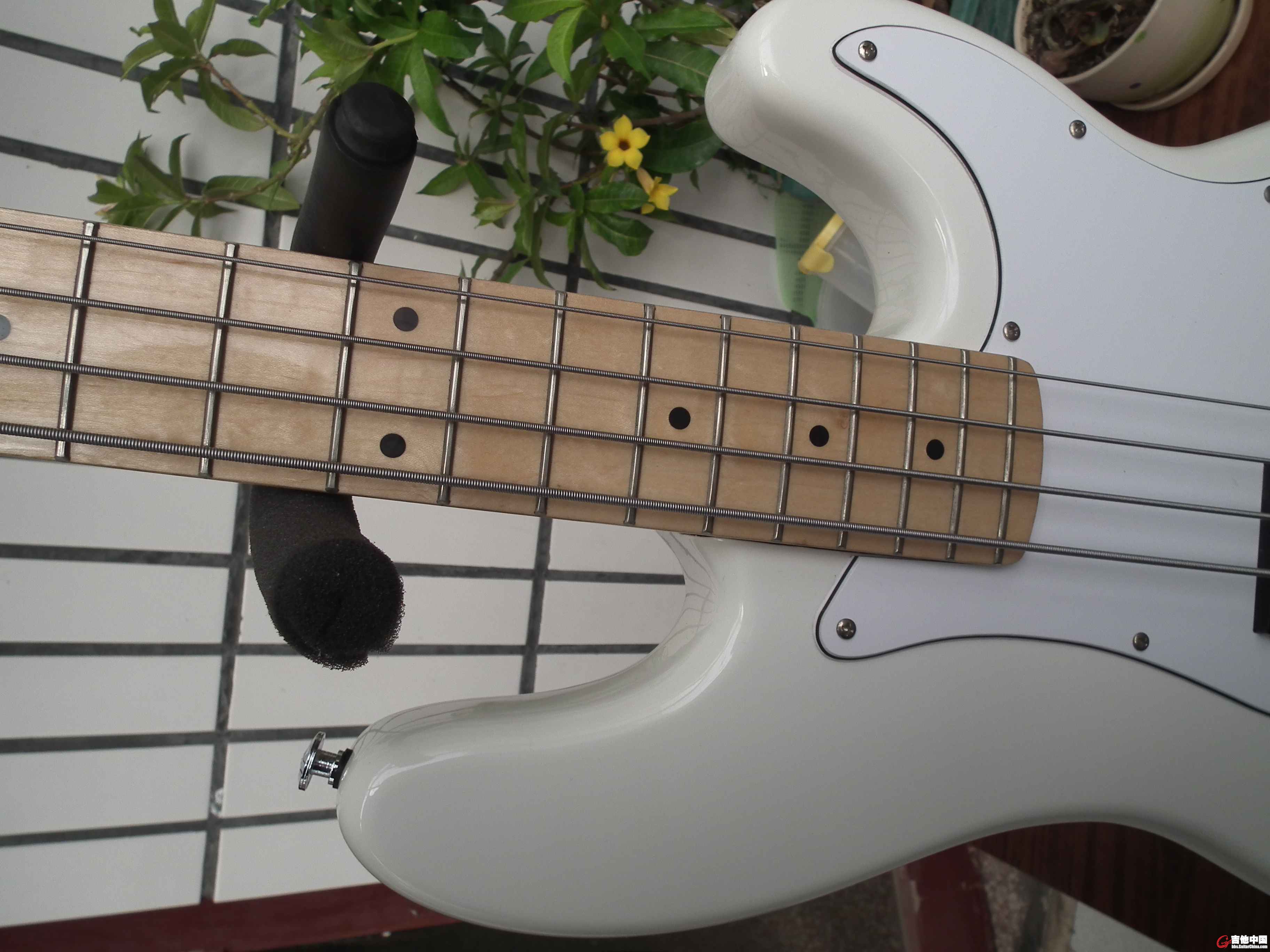 DSCF7099_2.JPG