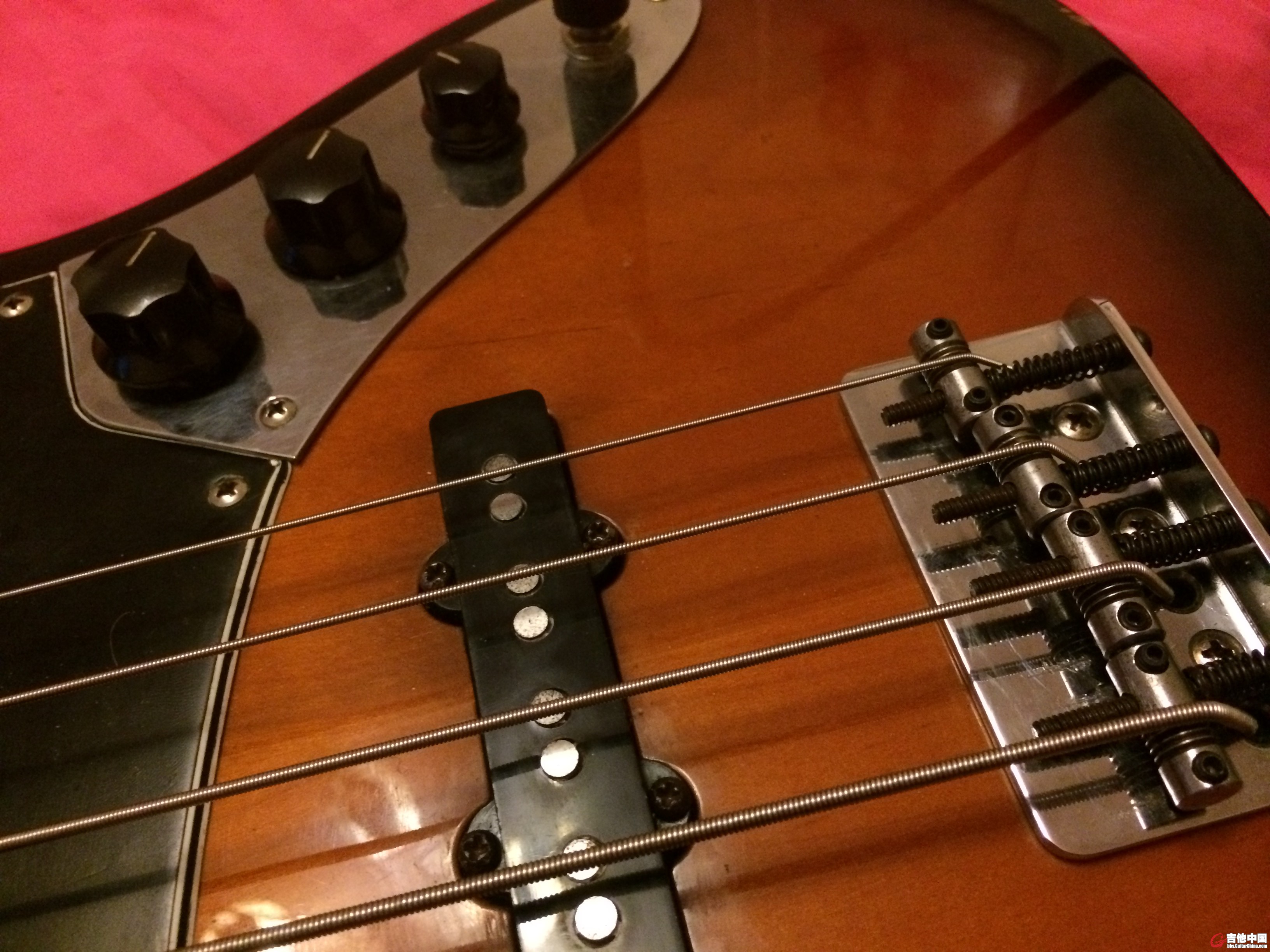 美标JazzBass07.JPG