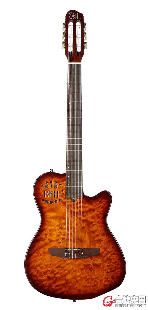 Godin acs.jpg