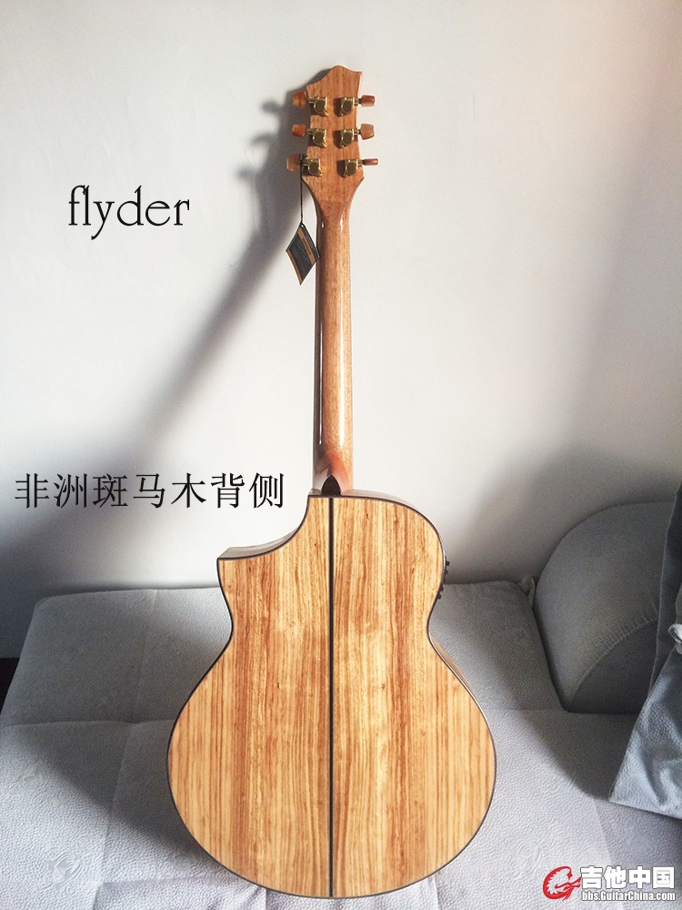 斑马 背侧.jpg