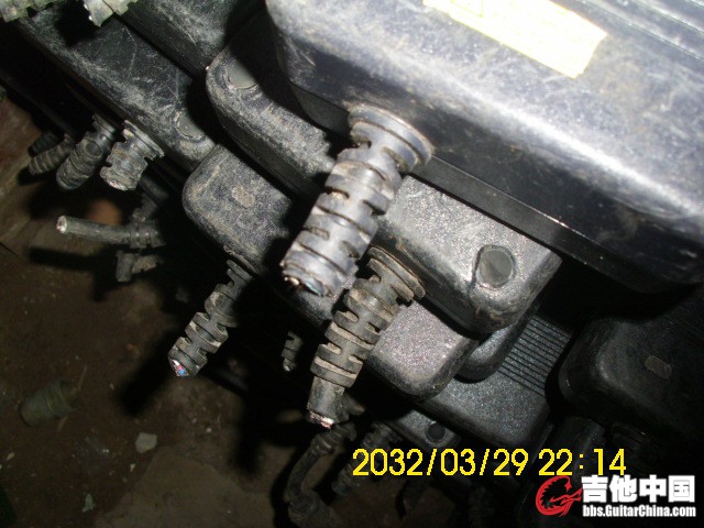 DSCI0145.JPG