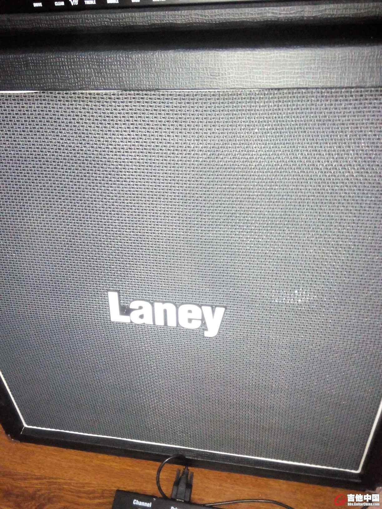 laney3.jpg