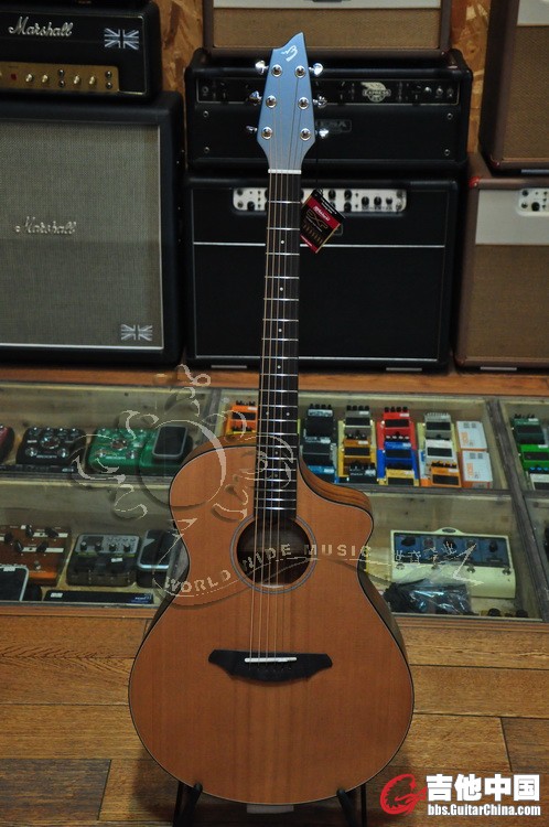 Breedlove Passport C250 COe价格3890