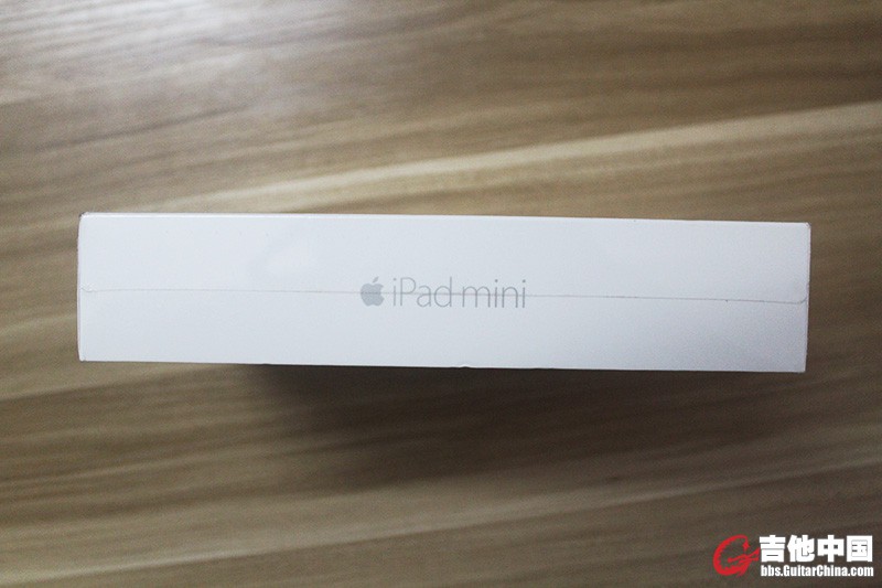 ipadmini3_2.jpg