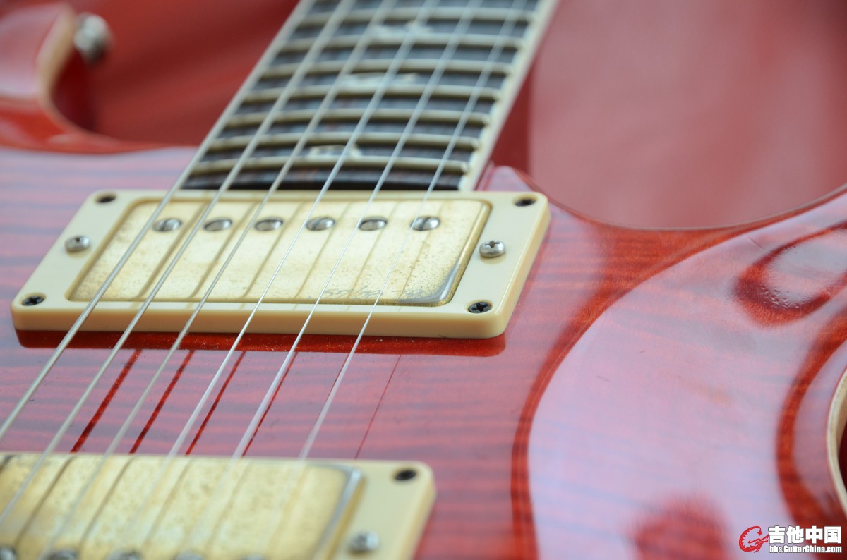 PRS (10).JPG